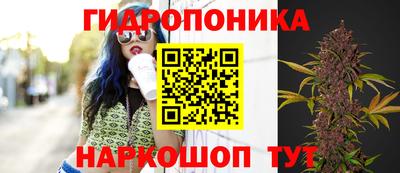 индика Рыбинск