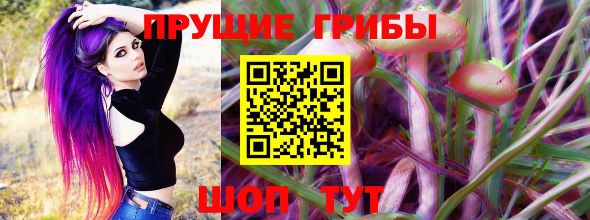 Рыбинск  Псилоцибиновые грибы Psilocybe  Вход с VPN 